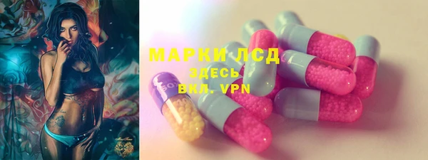 трава Аркадак