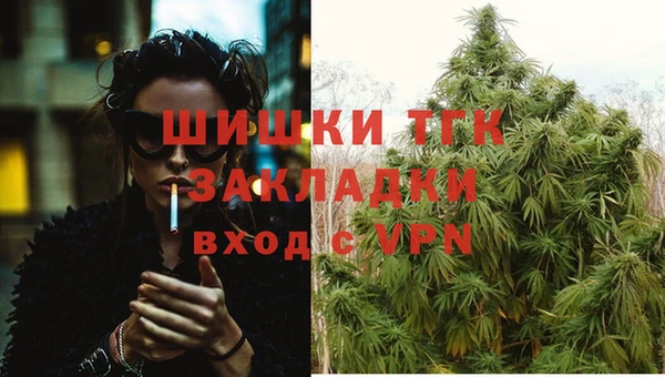 трава Аркадак