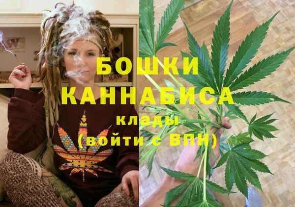 трава Армянск