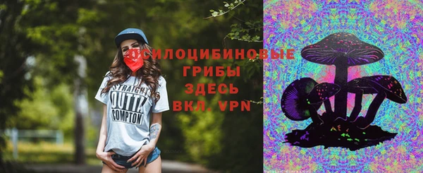 мет Арсеньев