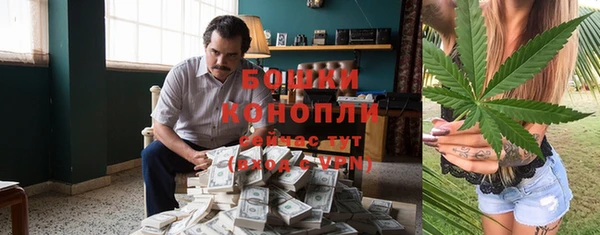 трава Аркадак