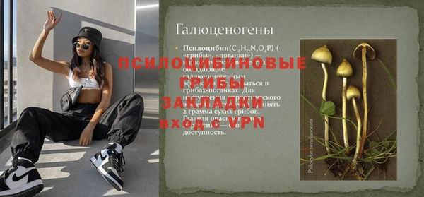 мет Арсеньев