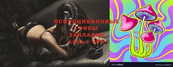 трава Аркадак